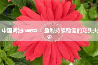 中国海油(600938)：盈利持续稳健的龙头央企