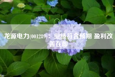 龙源电力(001289)：业绩符合预期 盈利改善在即