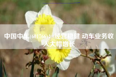 中国中车(601766)：经营稳健 动车业务收入大幅增长
