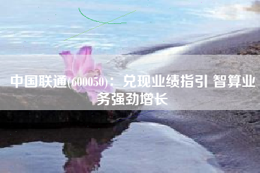 中国联通(600050)：兑现业绩指引 智算业务强劲增长