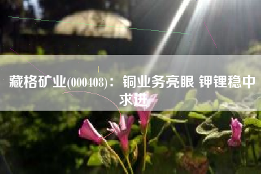 藏格矿业(000408)：铜业务亮眼 钾锂稳中求进