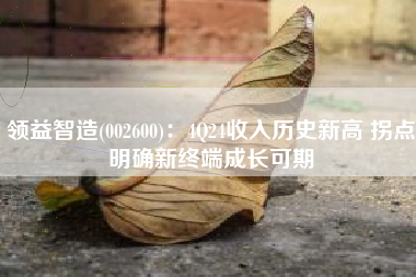领益智造(002600)：4Q24收入历史新高 拐点明确新终端成长可期