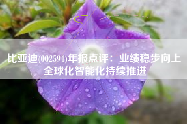 比亚迪(002594)年报点评：业绩稳步向上 全球化智能化持续推进