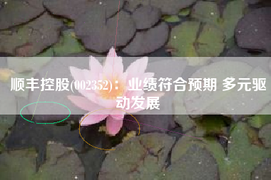 顺丰控股(002352)：业绩符合预期 多元驱动发展