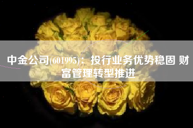 中金公司(601995)：投行业务优势稳固 财富管理转型推进