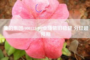 美的集团(000333)：业绩依旧稳健 分红超预期