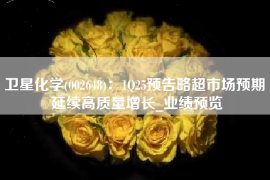 卫星化学(002648)：1Q25预告略超市场预期 延续高质量增长_业绩预览
