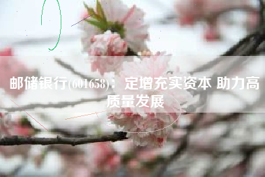 邮储银行(601658)：定增充实资本 助力高质量发展