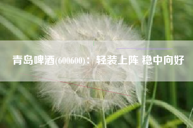 青岛啤酒(600600)：轻装上阵 稳中向好