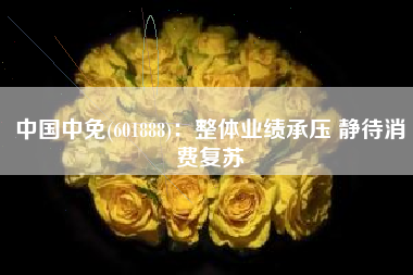 中国中免(601888)：整体业绩承压 静待消费复苏