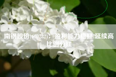 南钢股份(600282)：盈利能力稳健 延续高比例分红