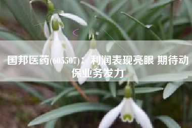国邦医药(605507)：利润表现亮眼 期待动保业务发力