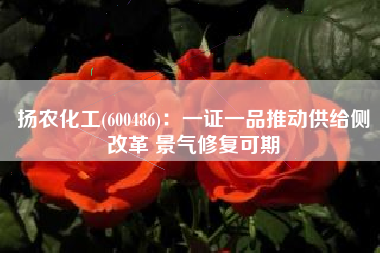 扬农化工(600486)：一证一品推动供给侧改革 景气修复可期