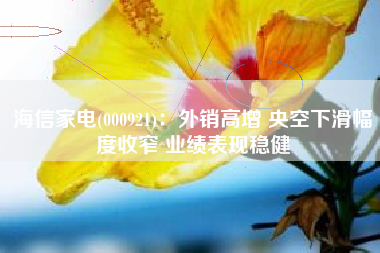 海信家电(000921)：外销高增 央空下滑幅度收窄 业绩表现稳健