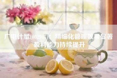 广电计量(002967)：精细化管理效果显著 盈利能力持续提升