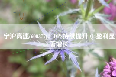 宁沪高速(600377)：DPS持续提升 Q4盈利显著增长