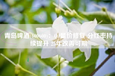 青岛啤酒(600600)：Q4量价修复 分红率持续提升 25年改善可期