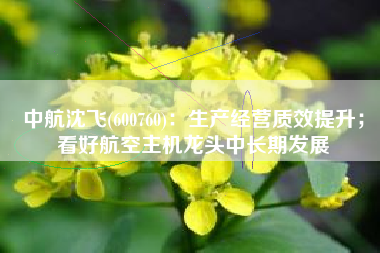 中航沈飞(600760)：生产经营质效提升；看好航空主机龙头中长期发展