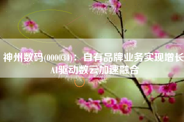 神州数码(000034)：自有品牌业务实现增长 AI驱动数云加速融合