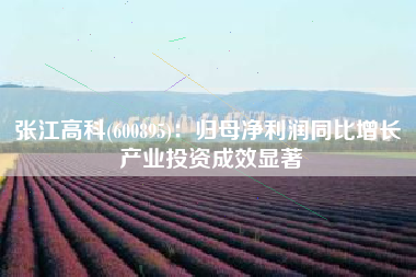 张江高科(600895)：归母净利润同比增长 产业投资成效显著