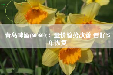 青岛啤酒(600600)：量价趋势改善 看好25年恢复
