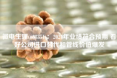 微电生理(688351)：2024年业绩符合预期 看好公司进口替代和管线价值爆发