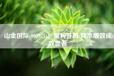 山金国际(000975)：量利齐增 降本增效成效显著