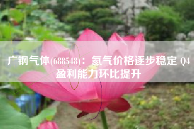 广钢气体(688548)：氦气价格逐步稳定 Q4盈利能力环比提升