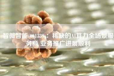 智微智能(001339)：稀缺的AI算力全场景服务商 业务推广进展顺利