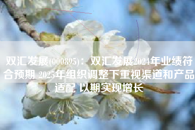 双汇发展(000895)：双汇发展2024年业绩符合预期 2025年组织调整下重视渠道和产品适配 以期实现增长