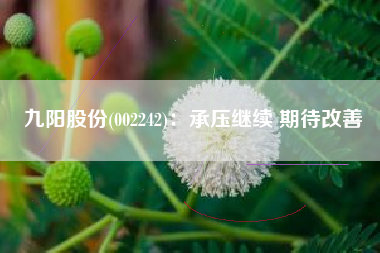 九阳股份(002242)：承压继续 期待改善
