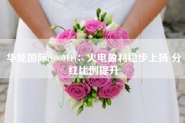 华能国际(600011)：火电盈利稳步上扬 分红比例提升