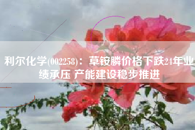 利尔化学(002258)：草铵膦价格下跌24年业绩承压 产能建设稳步推进