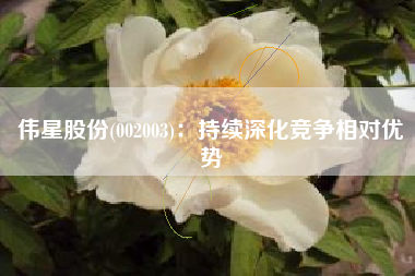 伟星股份(002003)：持续深化竞争相对优势
