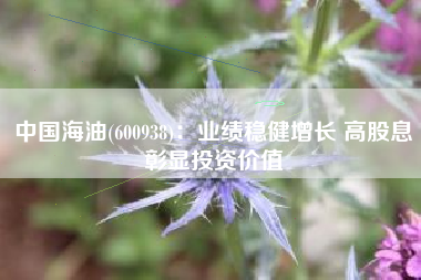 中国海油(600938)：业绩稳健增长 高股息彰显投资价值