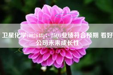 卫星化学(002648)：25Q1业绩符合预期 看好公司未来成长性