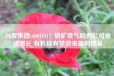 兴发集团(600141)：磷矿景气助力公司业绩增长 有机硅有望迎来盈利修复