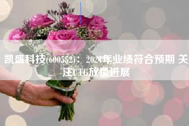 凯盛科技(600552)：2024年业绩符合预期 关注UTG放量进展