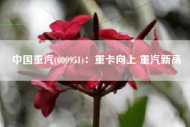 中国重汽(000951)：重卡向上 重汽新高