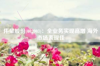 伟星股份(002003)：全业务实现高增 海外市场表现佳