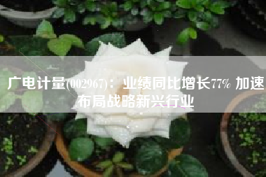 广电计量(002967)：业绩同比增长77% 加速布局战略新兴行业