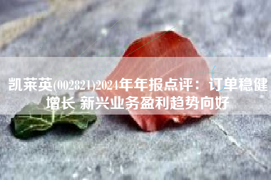 凯莱英(002821)2024年年报点评：订单稳健增长 新兴业务盈利趋势向好