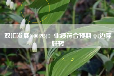 双汇发展(000895)：业绩符合预期 Q4边际好转