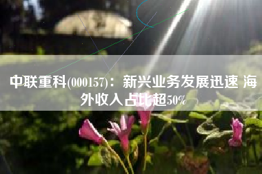 中联重科(000157)：新兴业务发展迅速 海外收入占比超50%