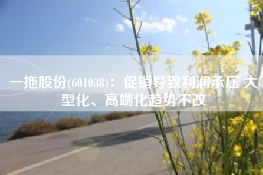 一拖股份(601038)：促销导致利润承压 大型化、高端化趋势不改