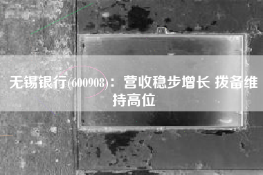 无锡银行(600908)：营收稳步增长 拨备维持高位