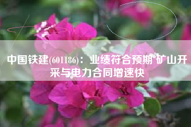 中国铁建(601186)：业绩符合预期 矿山开采与电力合同增速快