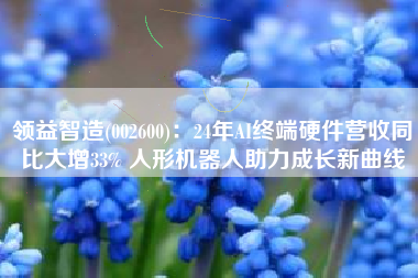 领益智造(002600)：24年AI终端硬件营收同比大增33% 人形机器人助力成长新曲线