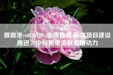 数据港(603881)：业绩稳健 廊坊项目建设推进、中标新单贡献新增动力
