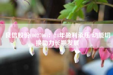 良信股份(002706)：24年盈利承压 动能切换助力长期发展